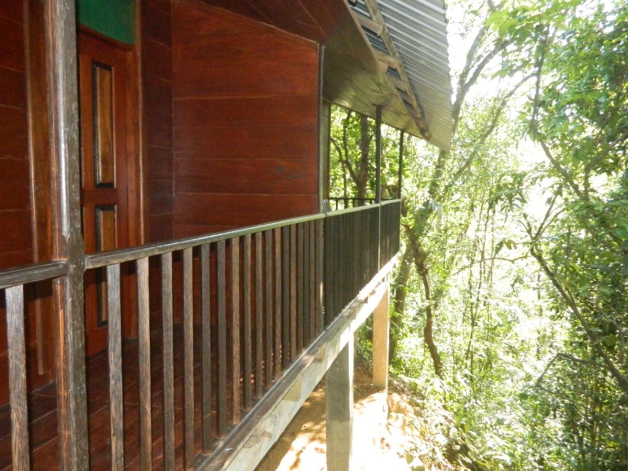 Birds Paradise Hotel Kudawe الغرفة الصورة