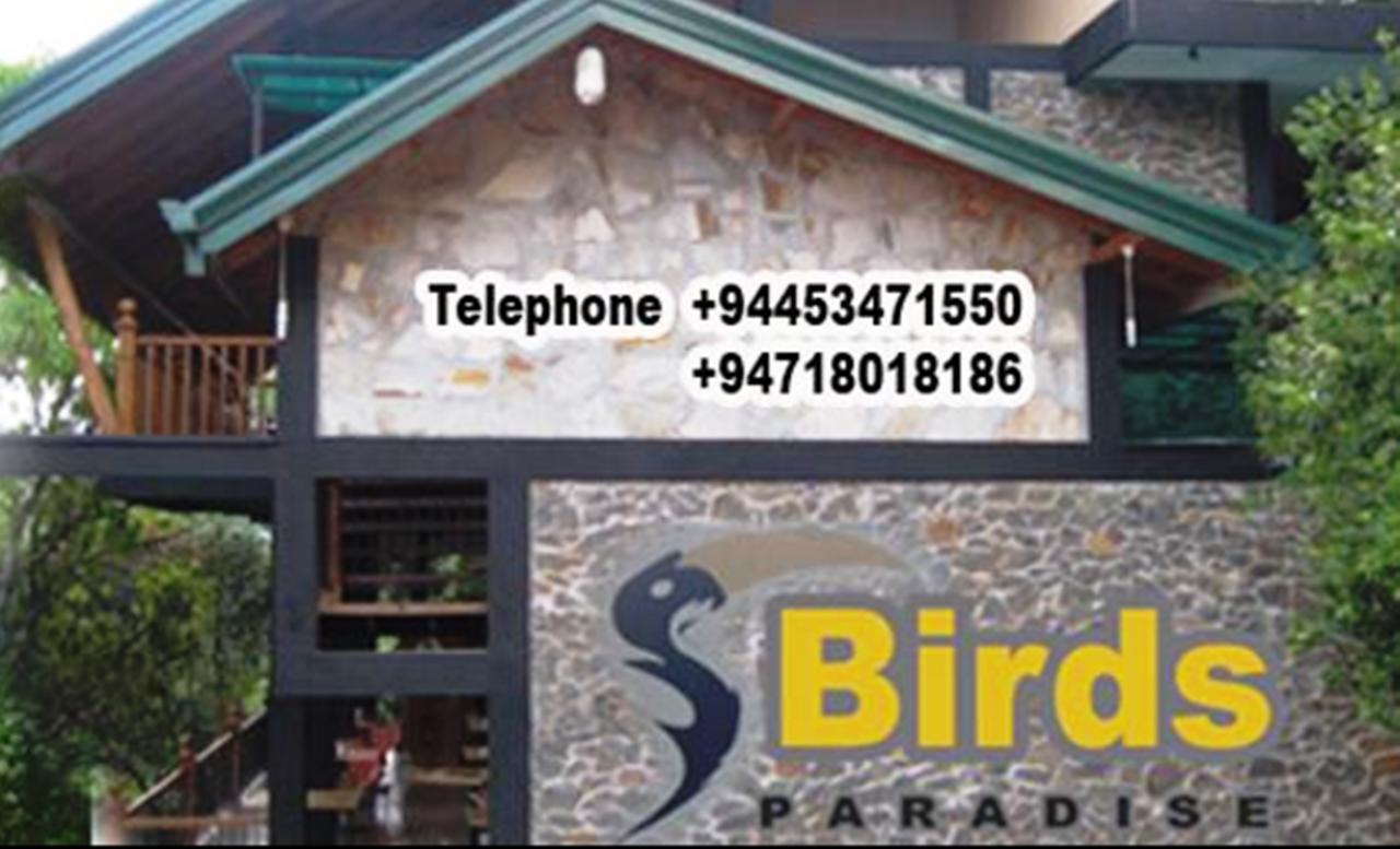 Birds Paradise Hotel Kudawe المظهر الخارجي الصورة