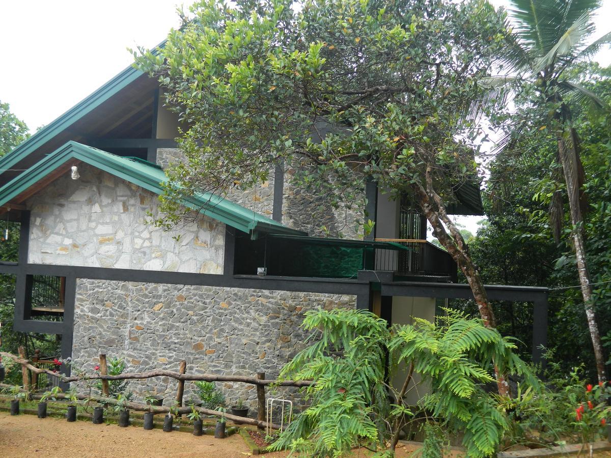 Birds Paradise Hotel Kudawe المظهر الخارجي الصورة
