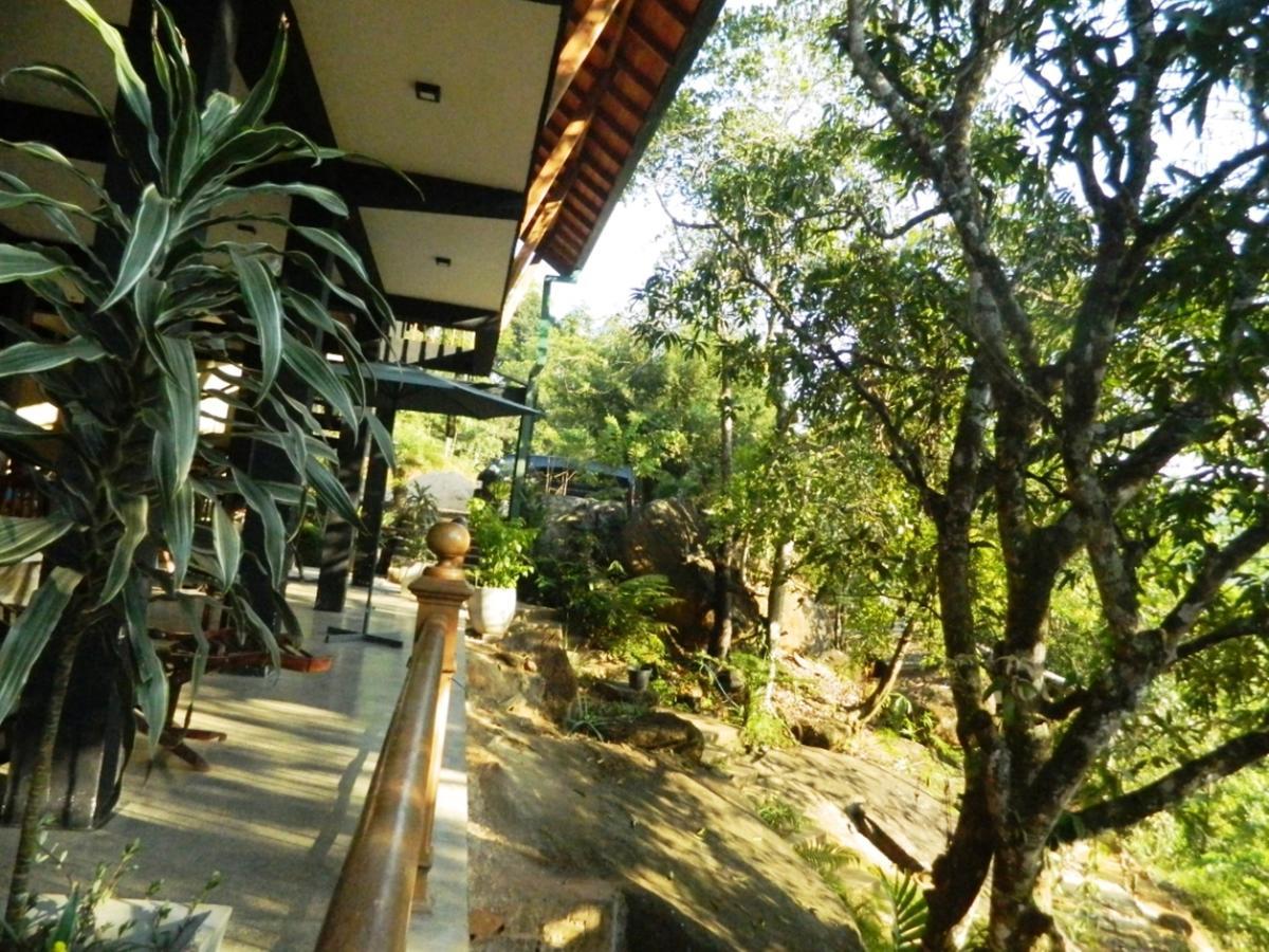 Birds Paradise Hotel Kudawe المظهر الخارجي الصورة